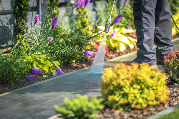 Best Patio and Deck Pressure Washing  in Fair Plain, MI