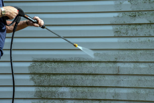 Best Roof Washing  in Fair Plain, MI