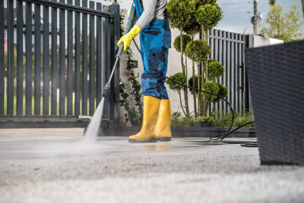Best Soft Washing  in Fair Plain, MI